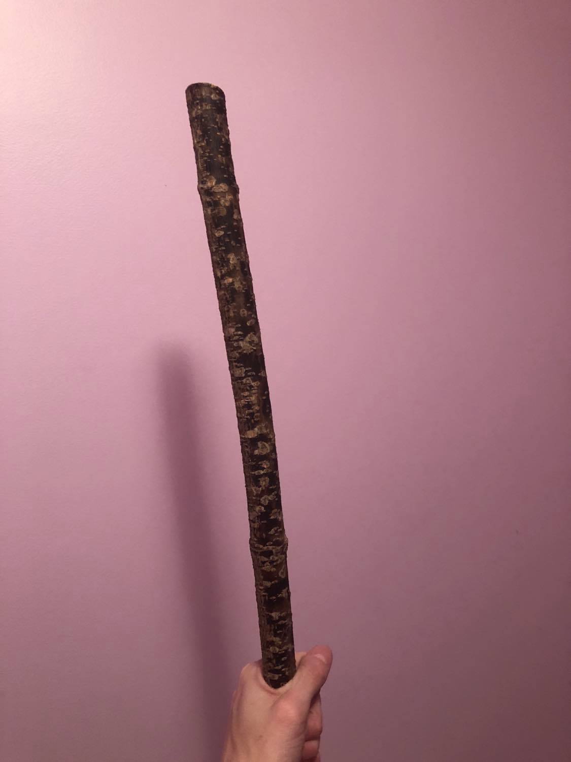 The staff pre-painting, just being held by a pink wall.