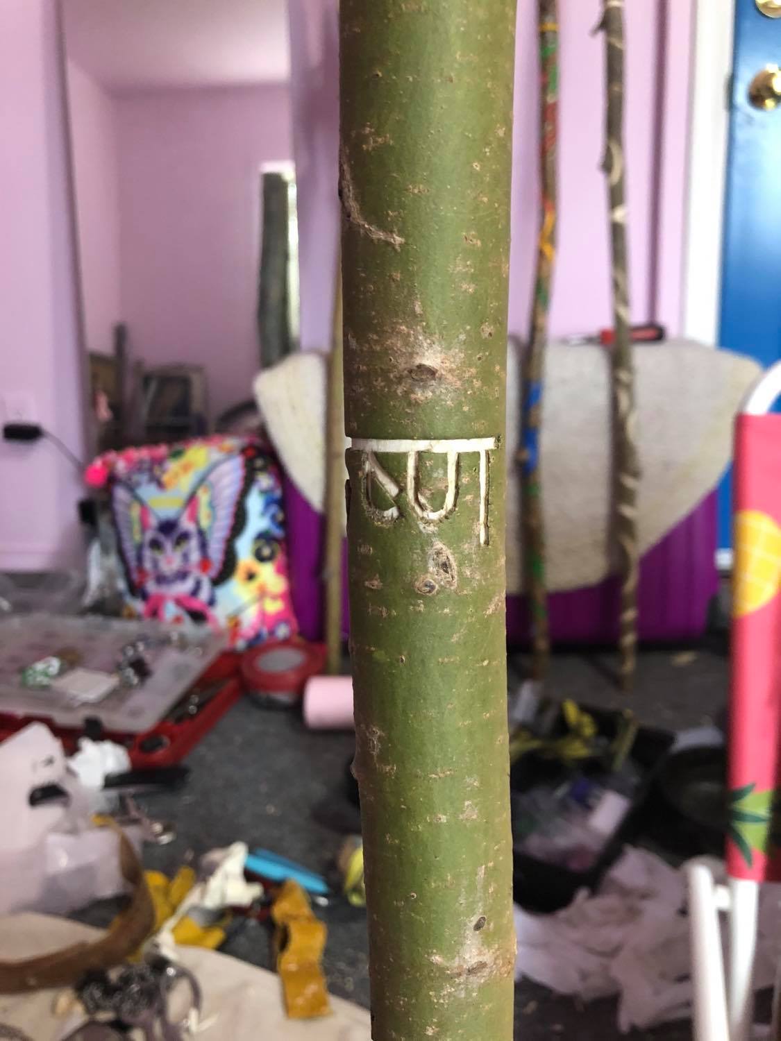 The second part of Krishna that wrapped around.