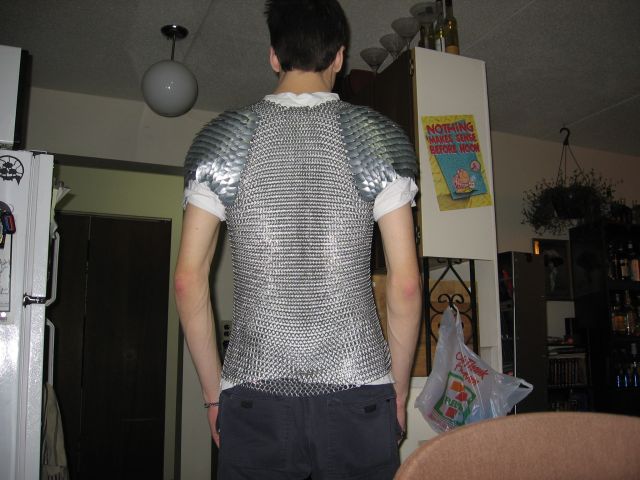 The back of the shirt, with scale shoulders.
