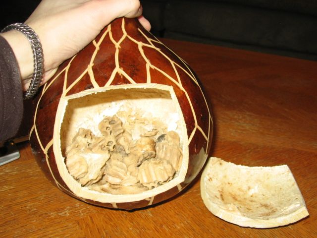 The gourd with a square hatch cut into the side, and the dry crumbly contents inside.
