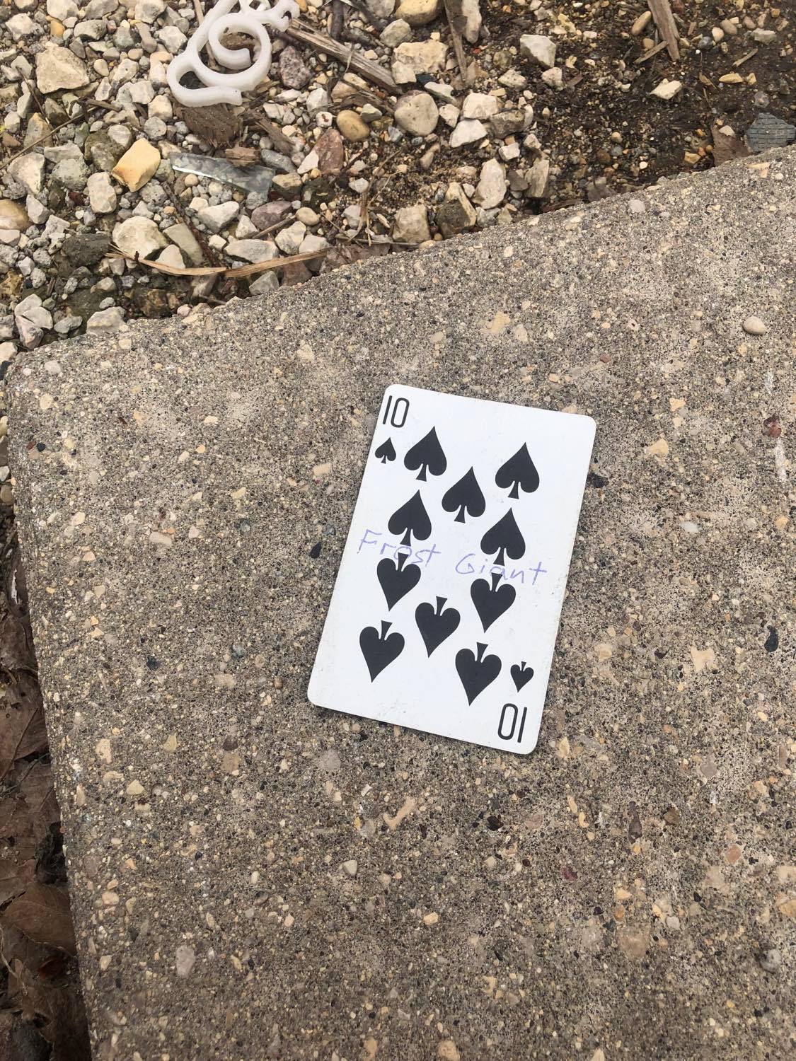 The ten of spades, laying on the ground before the creature.