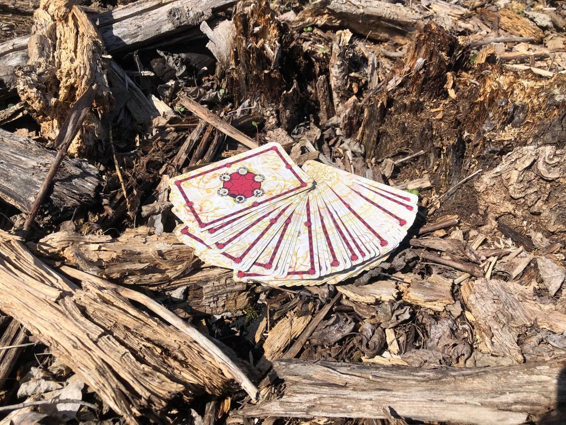 The cards laid out for you, overtop of an old stump in a wooded area