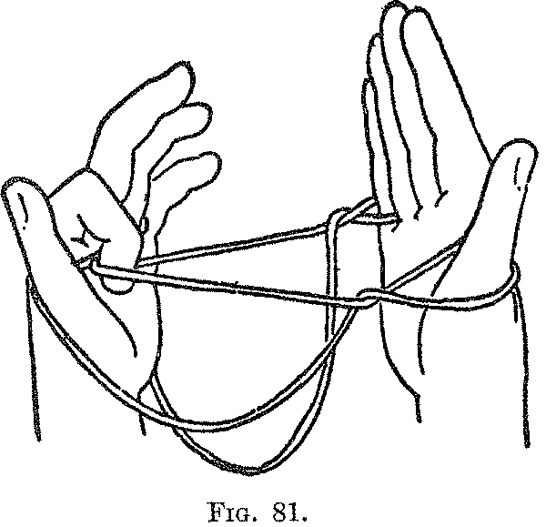 Fig. 81