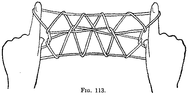 Fig. 113