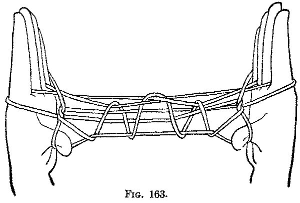 Fig. 163