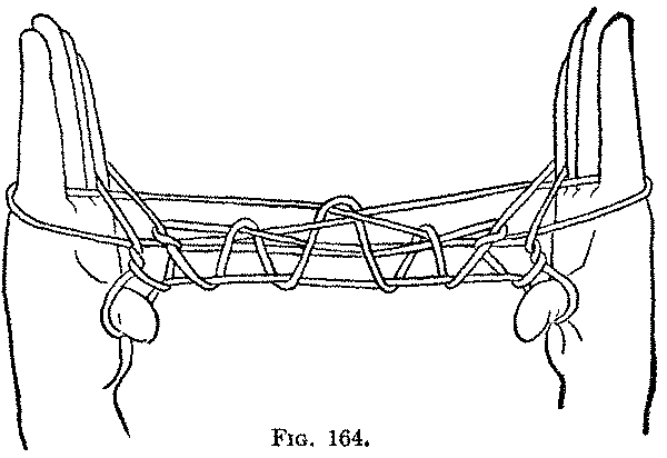 Fig. 164