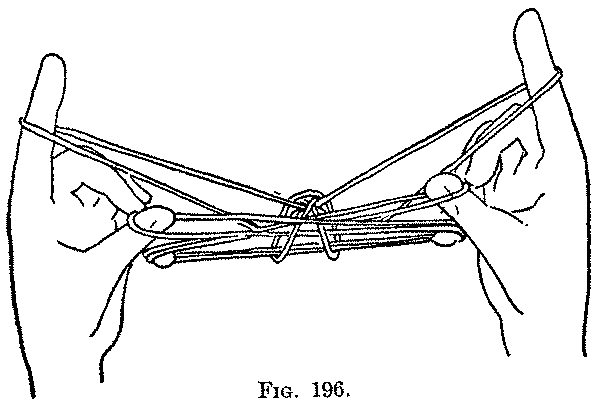 Fig. 196