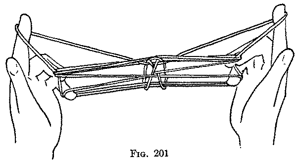 Fig. 201