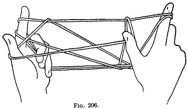 Fig. 206