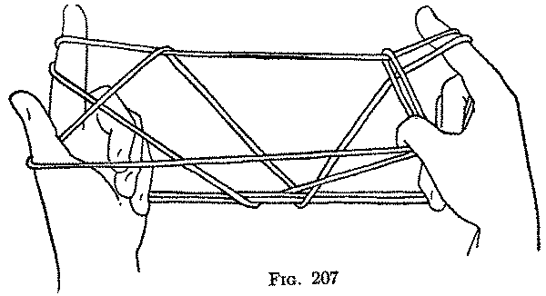 Fig. 207