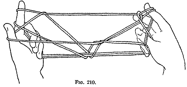 Fig. 210