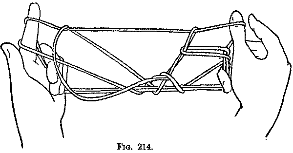 Fig. 214