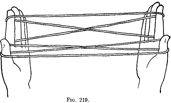 Fig. 219