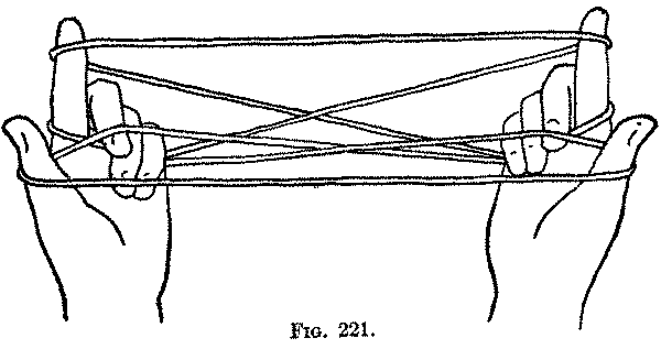 Fig. 221