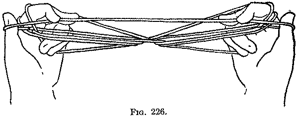 Fig. 226