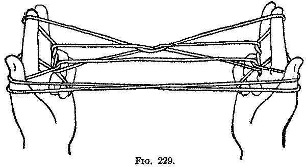 Fig. 229