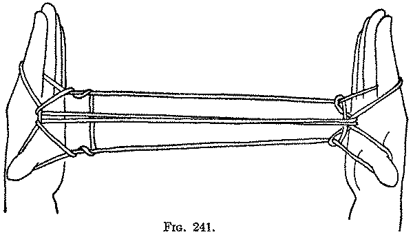 Fig. 241