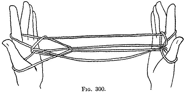 Fig. 300