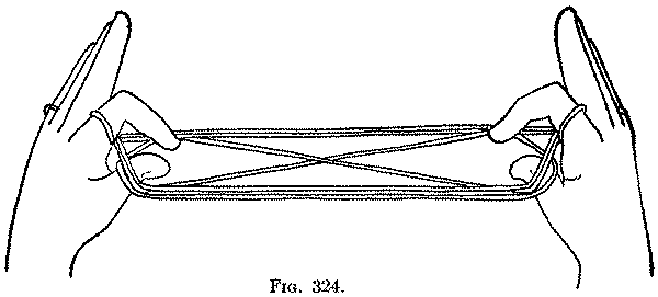 Fig. 324