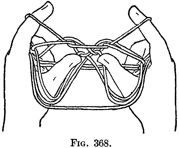 Fig. 368