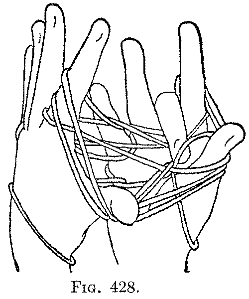 Fig. 428