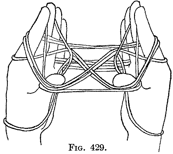 Fig. 429