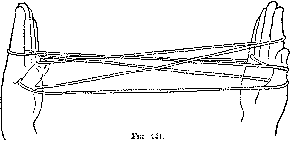 Fig. 441