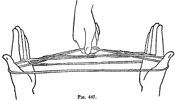 Fig. 447
