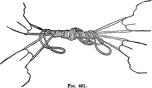 Fig. 461