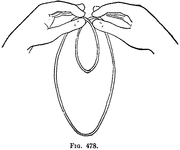 Fig. 478