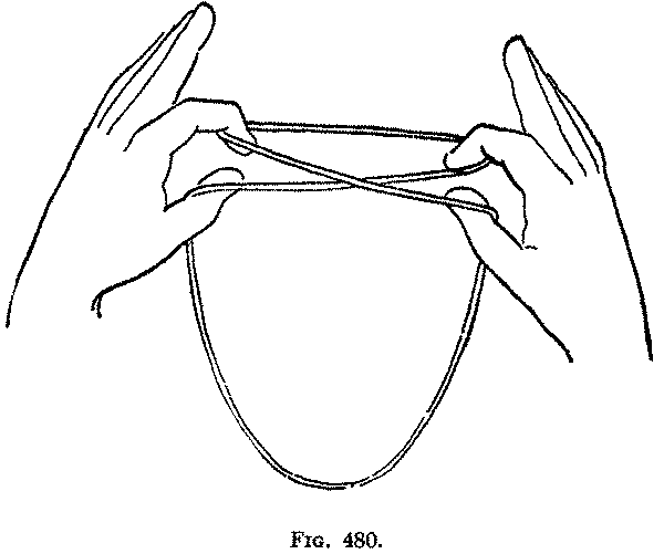 Fig. 480