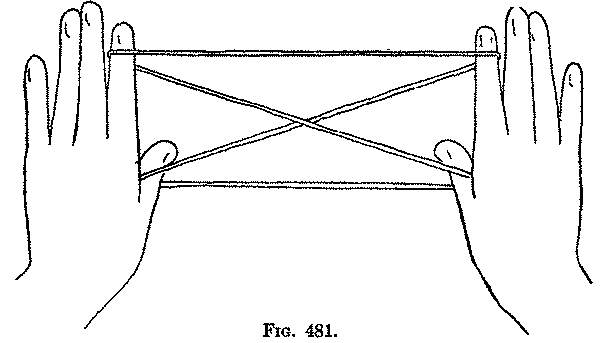 Fig. 481