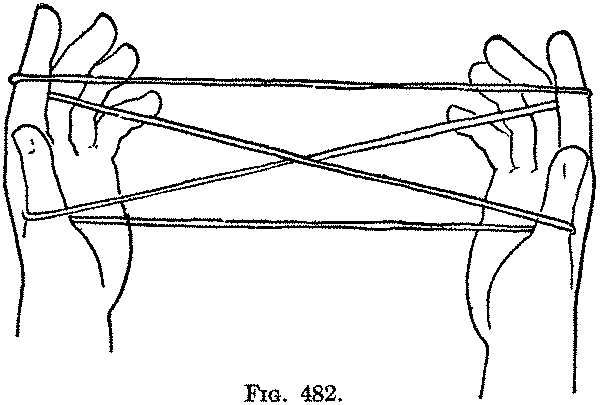 Fig. 482
