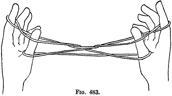 Fig. 483