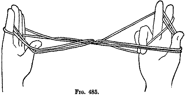 Fig. 485