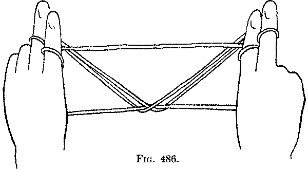 Fig. 486