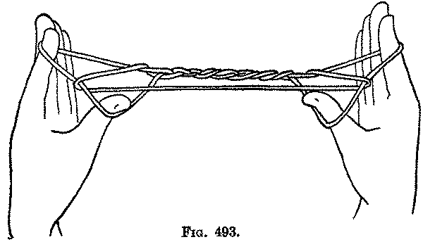 Fig. 493