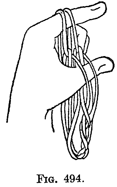 Fig. 494