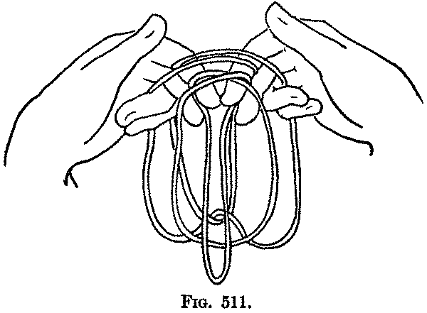 Fig. 511