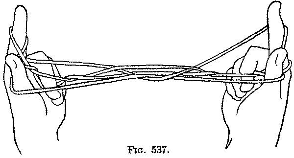 Fig. 537