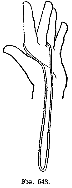 Fig. 548