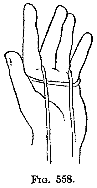 Fig. 558