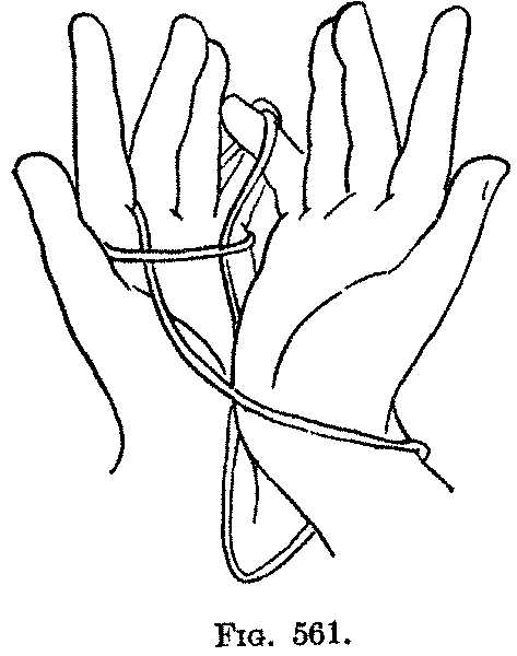 Fig. 561