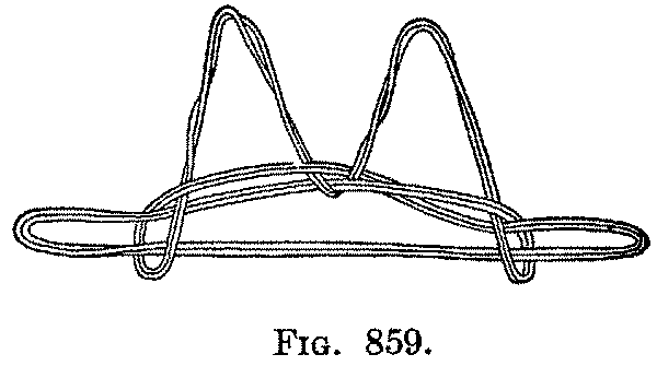 Fig. 859
