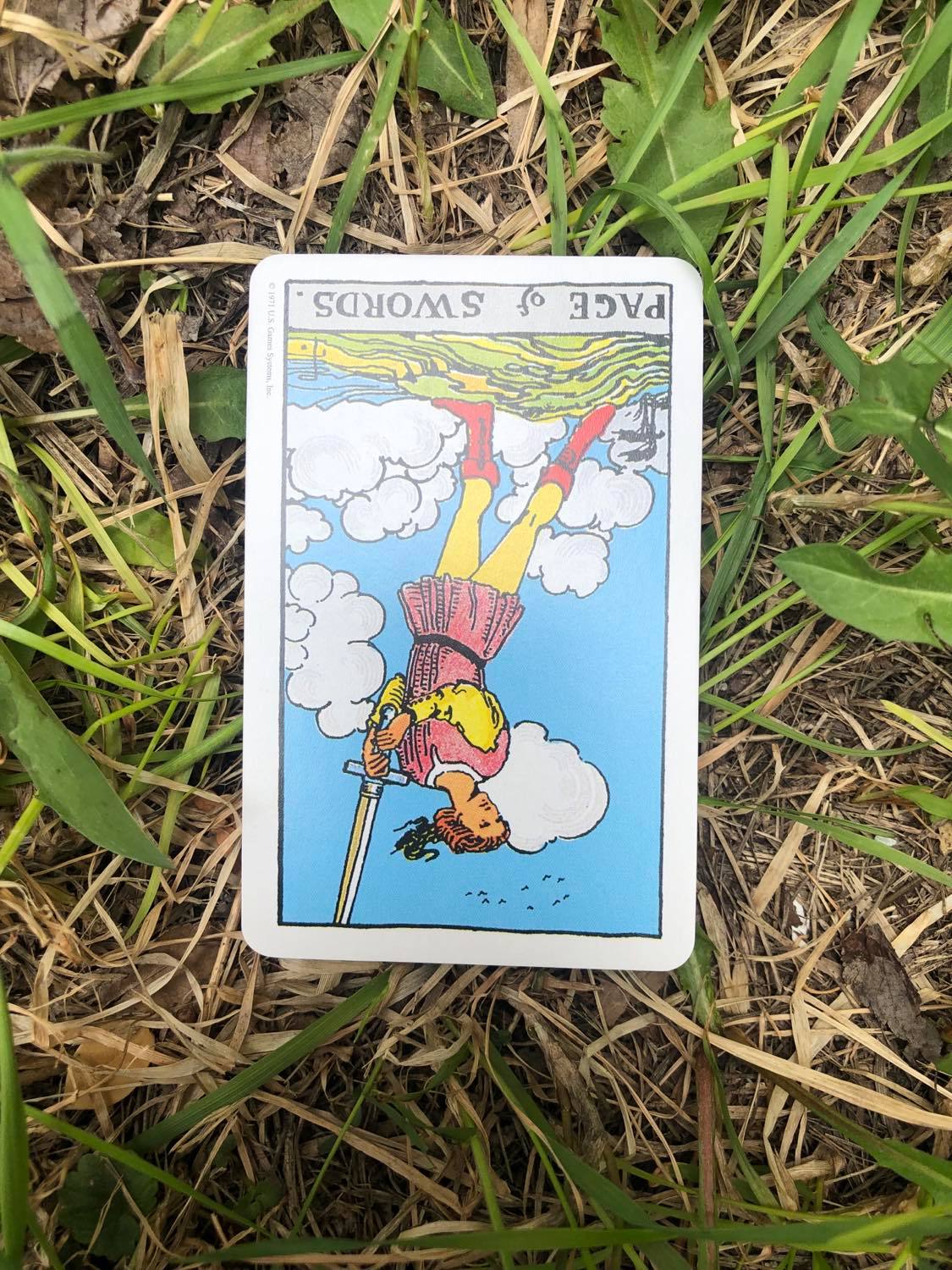 The Page of Swords, inverted, laying in the grass.