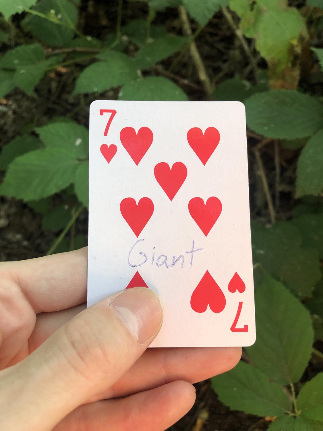 The seven of hearts with the word Giant written on it, held above the brush.