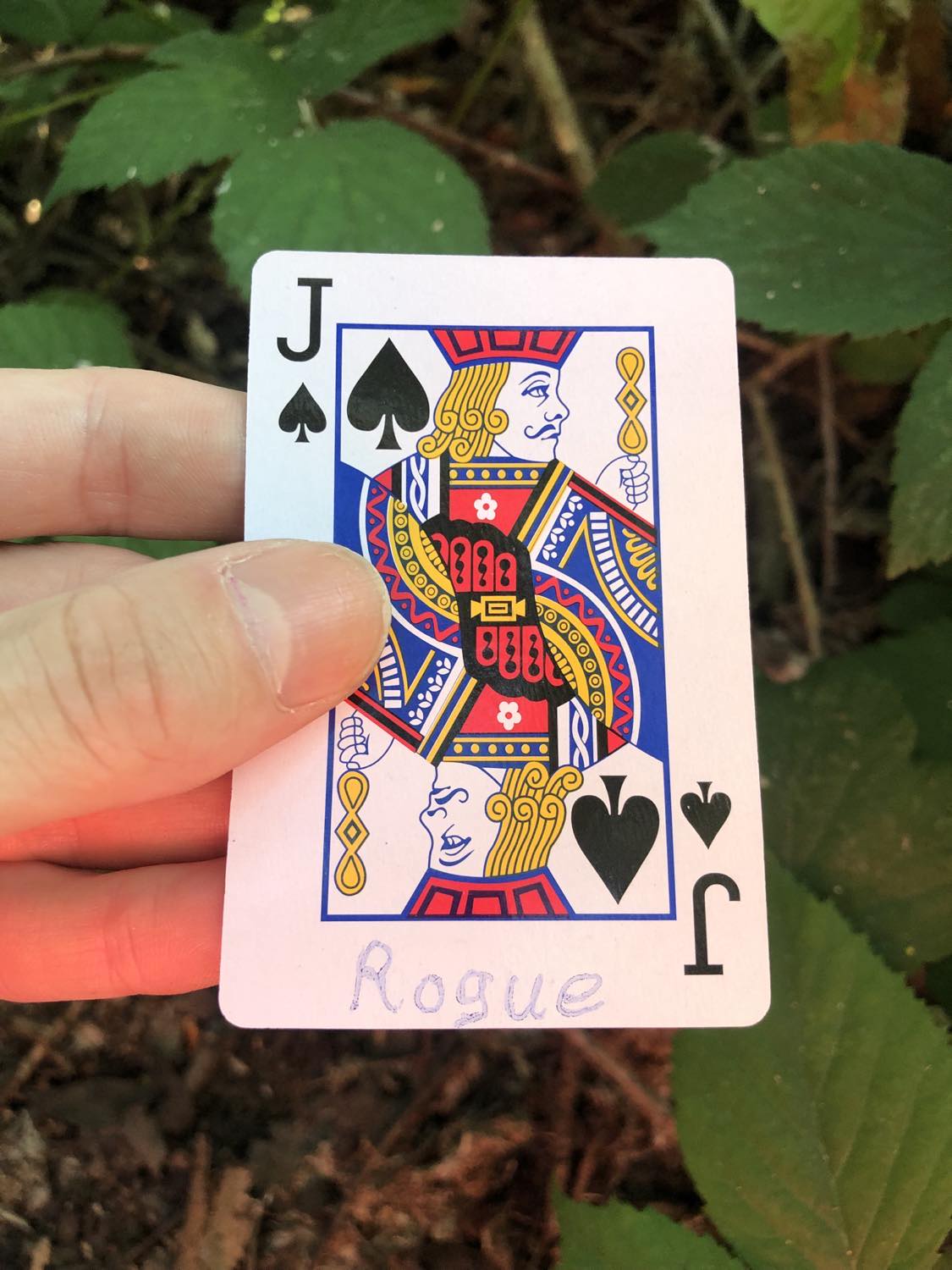 The jack of spades with the word Rogue written on it, held above the brush.