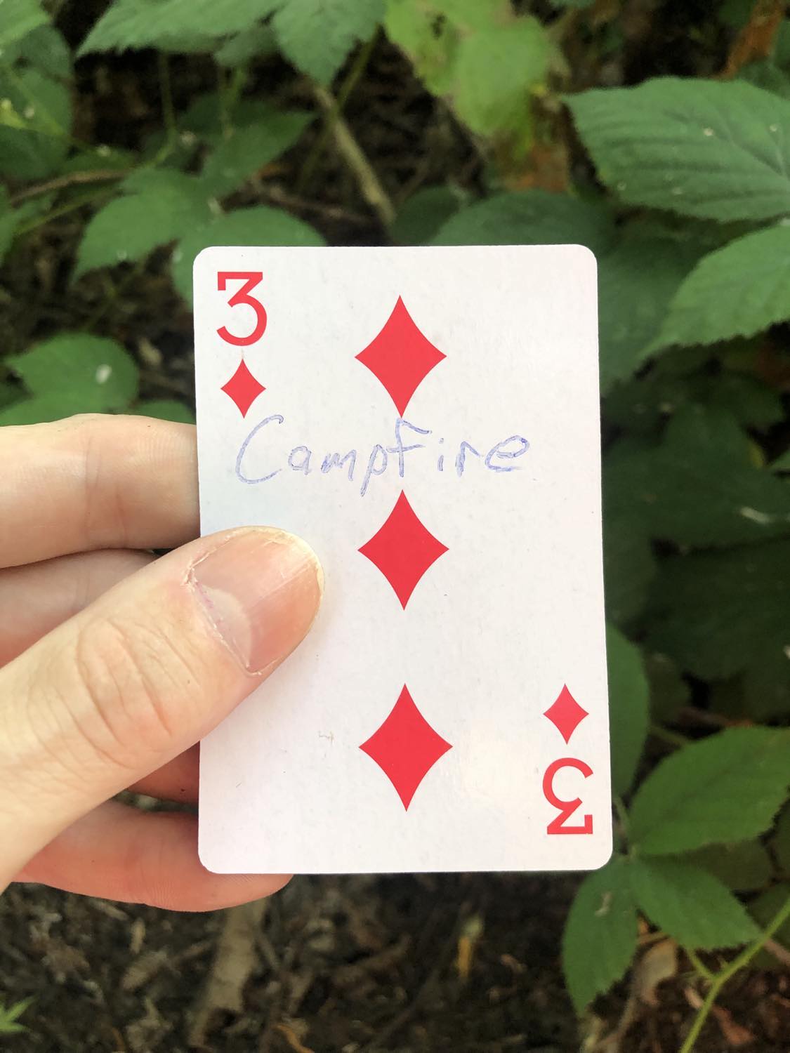 The three of diamonds with the word Campfire written on it, held above the brush.