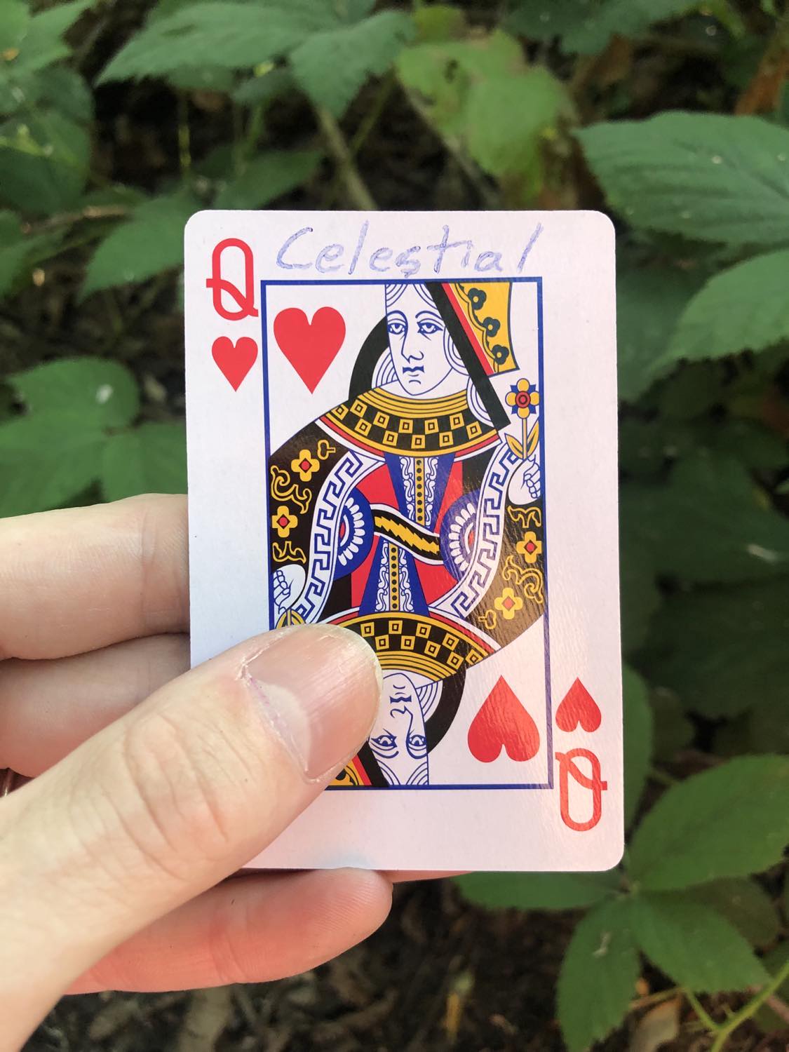 The queen of hearts with the word Celestial written on it, held above the brush.