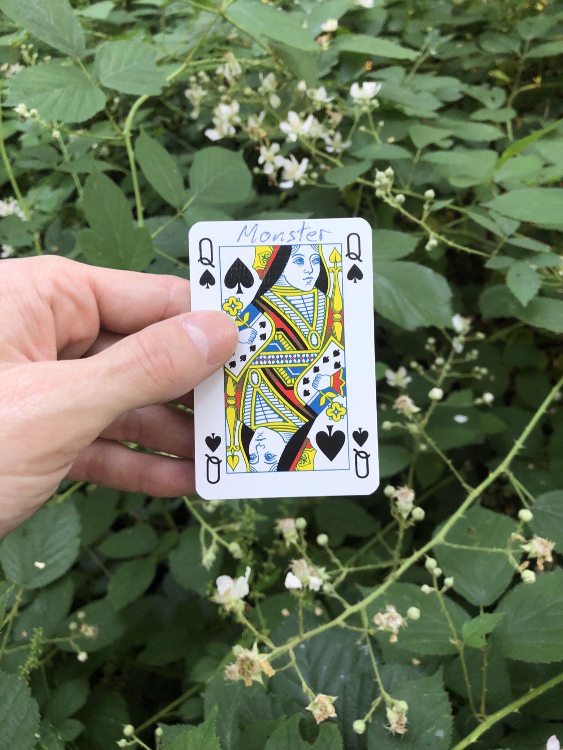 The queen of spades with the word Monster written on it, held above the flowers.